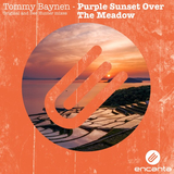 Tommy Baynen від Purple Sunset Over The Meadow (Bee Hunter Remix)