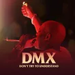 DMX - Party Up (Up In Here)