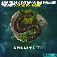Sam Feldt & The Him feat. The Donnies The Amys від Drive You Home (Original Mix)