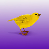 Монеточка від Шаганэ