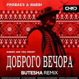 Probass & Hardi від Доброго Вечора (Where Are You From) (Butesha Remix)