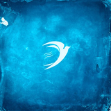 Timran від Не Хочу Вечеринок (feat. Zell)