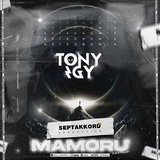 Tony Igy від Astronomia (Mamoru Remix)