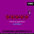 Chico & Qatoshi - Ластівки (DJ Darling & Butesha Remix)