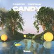 Rasster від Candy (feat. Treetalk)