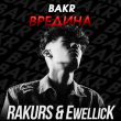 Bakr від Вредина (Rakurs & Ewellick Remix)