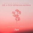 Natalie Gioia & Shkoda від Ой, У Лузі Червона Калина (Get Better Remix)