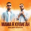 Galibri від Мама, Я Хулиган (feat. Mavik)