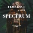 Florence & The Machine від Spectrum (Say My Name) (Marco Generani Remix)