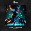 D.Hash від Burning (feat. Ilya Sechkin)