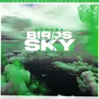 Newera від Birds In The Sky