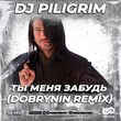 DJ Piligrim від Ты Меня Забудь (Dobrynin Remix)