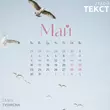 Tanir від Май (feat. Tyomcha)