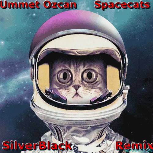Ummet Ozcan від Spacecats (SilverBlack Remix)