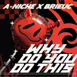 A-Niche від Why Do You Do This (feat. Brieuc)