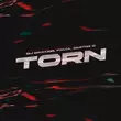 DJ DimixeR від Torn (feat. Favia & Dmitrii G)