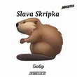Slava Skripka від Бобр (Asketix Remix)