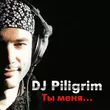DJ Piligrim від Ты Меня Забудь (DJ Moyshe Afro Mix)