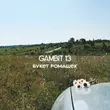 Gambit 13 від Букет Ромашек