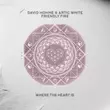 David Hohme від Friendly Fire (feat. Artic White)