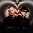 Kolya Funk & Matvey Emerson - What Is Love (Extended Mix)
