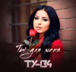 Ту-134 від Ты Для Меня