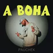 Pauchek від А Вона