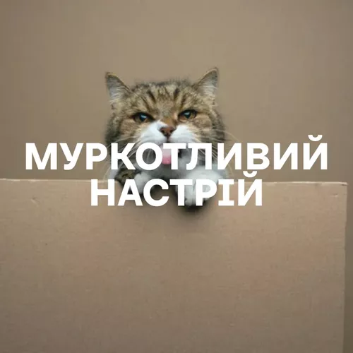 Муркотливий настрій - Добірка