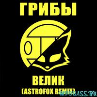 Грибы від Велик (AstroFox Remix)