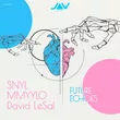 Snyl & David Lesal - I Remember Those Nights (Original Mix)