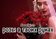 Soulkiss від Розы В Твоих Руках