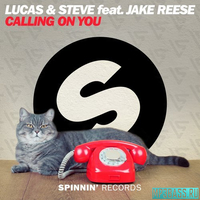 Lucas & Steve feat. Jake Reese від Calling On You (Extended Mix)