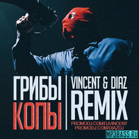 Грибы від Копы (Vincent & Diaz Remix)
