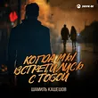 Шамиль Кашешов - Когда Мы Встретились С Тобой
