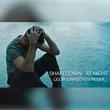 Shakedown - At Night (Ugur Dariveren Remix)