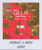 RL Grime feat. 24hrs від UCLA (Probass ∆ Hardi Remix)