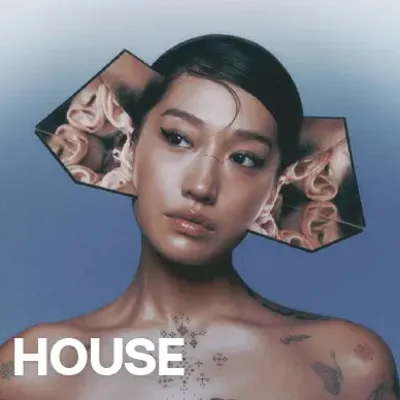 Хаус музика
